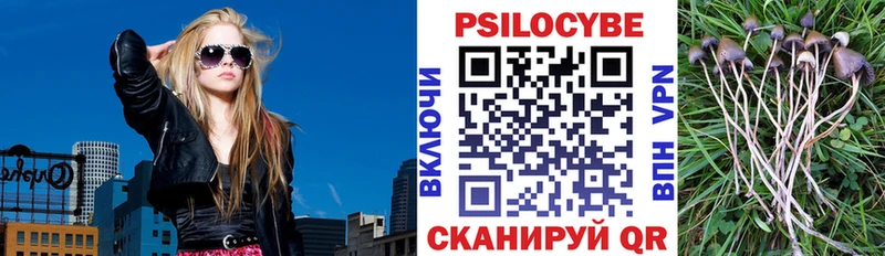 купить закладку  Заполярный  Галлюциногенные грибы Psilocybe 